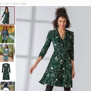 Cabi Fall 22 Ruffle Up Dress